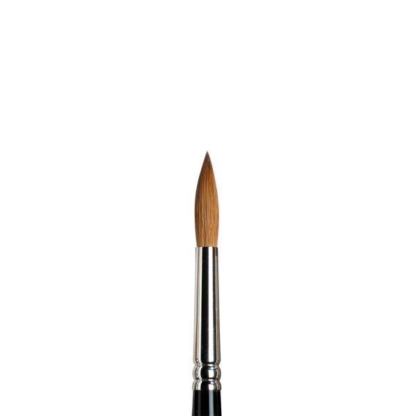 _0007_094376861051-WN-SERIES-7-KOLINSKY-SABLE-BRUSH-ROUND-SHORT-HANDLE-NO-8