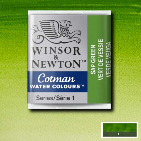 _0067_094376901757-WN-COTMAN-WATER-COLOURS-H_P-SAP-GREEN