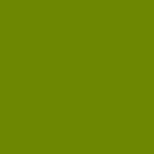 _0000s_0000_Medium-Green