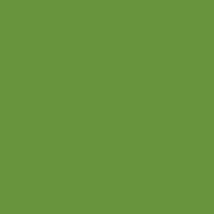 _0000s_0048_Oxide-of-Chromium-Green