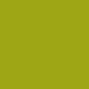 _0000s_0051_PAL-Olive-Green