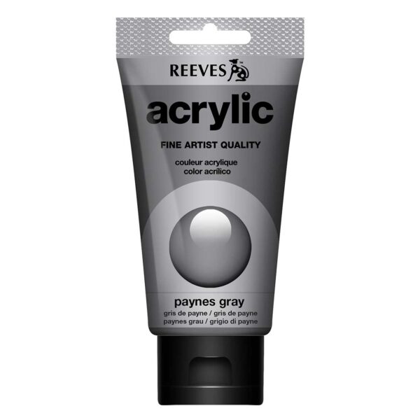 _0008_780804290639-RVS-ACRYLIC-75ML-PAYNES-GREY