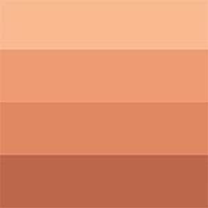 _0011_3013643323990-CHB-AQUAWASH-INK-COLOUR-SWATCH-SANGUINE