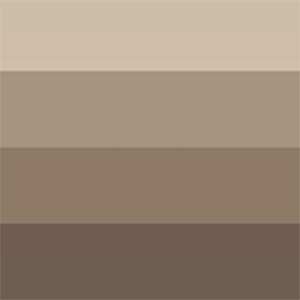 _0012_3013643324003-CHB-AQUAWASH-INK-COLOUR-SWATCH-RAW-SEPIA
