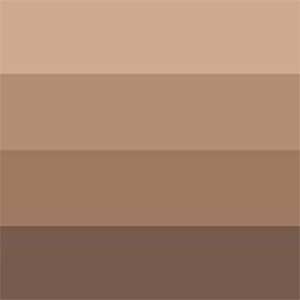 _0013_3013643324010-CHB-AQUAWASH-INK-COLOUR-SWATCH-WARM-SEPIA