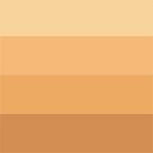 _0014_3013643324027-CHB-AQUAWASH-INK-COLOUR-SWATCH-YELLOW-OCHRE